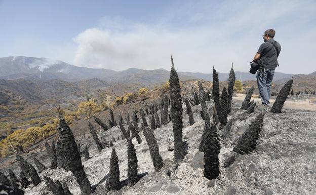 Infoca chief: 'It is probably the most complex fire we have known in Spain'
