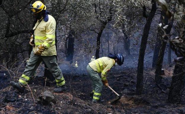 Almost 100 firefighters continue to dampen down hotspots in the Sierra Bermeja