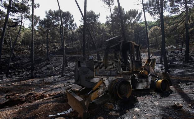 Sierra Bermeja officially declared an area 'seriously affected by a civil protection emergency'