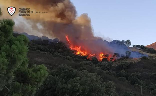Forest firefighters work through the night to stabilise the Casares blaze