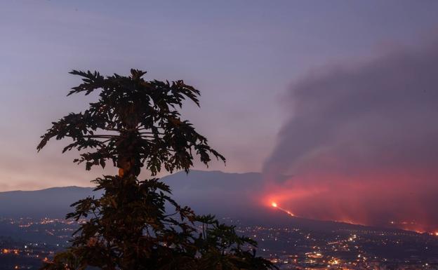 Hoteliers on the coast launch a fund to help those most affected by the La Palma volcano