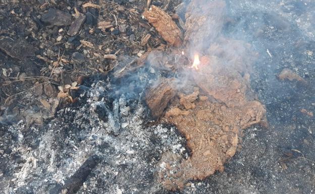 The Sierra Bermeja fire is still not 'extinguished' one month after it started