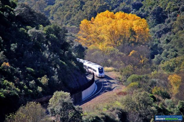 Central government doubles its investment in Malaga, but leaves out Costa train again