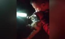 This is the moment the military revive a cat that had inhaled smoke from the La Palma volcano