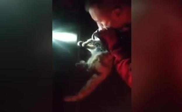 This is the moment the military revive a cat that had inhaled smoke from the La Palma volcano