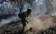 Sierra Bermeja forest fire is finally out after burning for more than six weeks