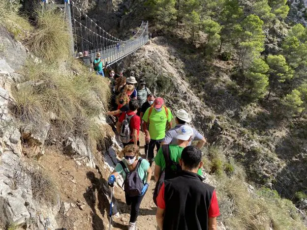 A group of hikers near the access to the El Saltillo suspension bridge. 
