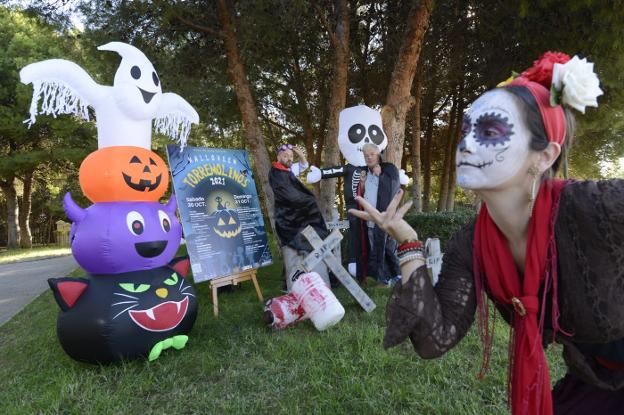 Halloween celebrations are scheduled to be held in many towns along the Costa del Sol this weekend. / SUR