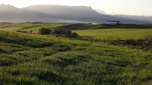 Why are people so against the 'boom' in solar energy parks?