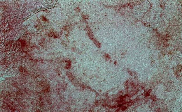 New painting discovered in Nerja Cave