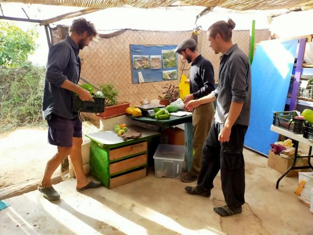 An international organic collective with a clear vision