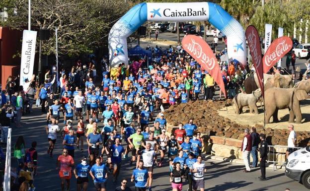 Holiday World charity run records highest number of participants for the second consecutive year