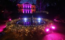 SUR gets a sneak preview of Malaga's new 'magical' Christmas light spectacular