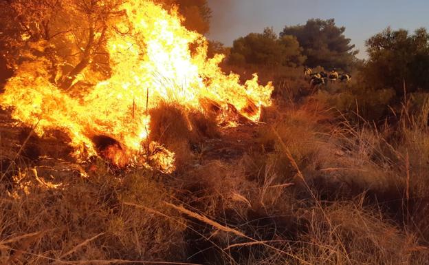 Firefighters battle through the night to control the Nerja wildfire