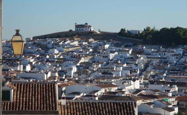 Dead body found in lorry at Antequera petrol station