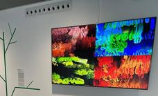 Art shows and exhibitions currently on along on the Costa del Sol and in inland areas