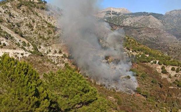 Cómpeta forest fire finally extinguished, three days after it started