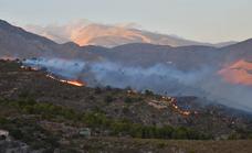 Fifty homes evacuated as Infoca firefighters battle a blaze in Gualchos