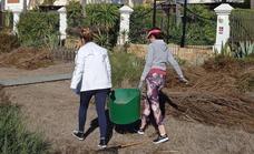 ProDunas volunteers resume their work in Marbella