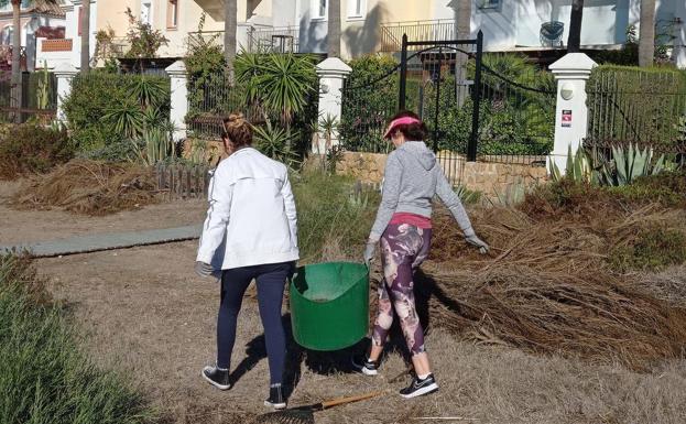 ProDunas volunteers cleaning up Marbella's beaches. /SUR