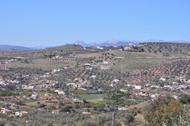 Rural Axarquía is one of the areas with the highest number of irregular homes in Andalucía. / SUR