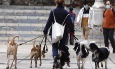 Malaga aims to be top dog as Spain's most pet-friendly city