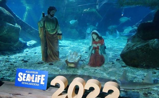 Unique crib scenes, tradition with a twist