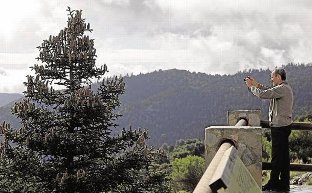 A visitor takes a photo at the Sierras de las Nieves. /SUR