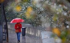 Christmas delivers much-needed rain across Malaga province