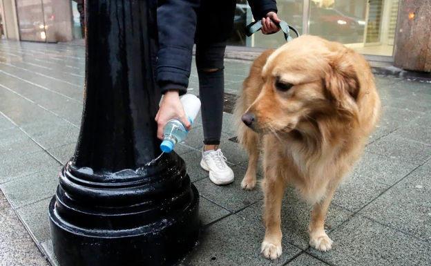 Many municipalities already require residents to dilute the urine of their pets on the street./JUAN CARLOS TUERO