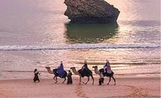 The Andalusian camels that carry the Magi