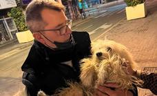 Lost dog that hid in Malaga Cathedral on New Year's Eve reunited with owners