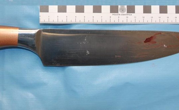 Woman arrested in Malaga for stabbing a friend she accused of stealing a TV on New Year's Eve