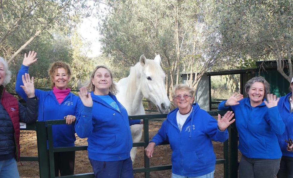 Alhaurín el Grande horse sanctuary marks 12th anniversary