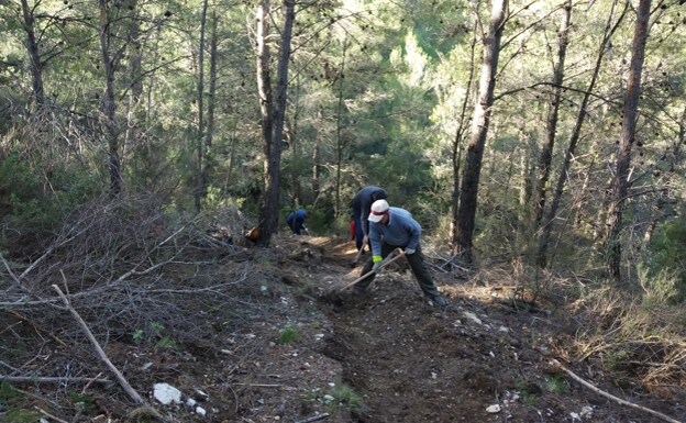 Conservation work in the Sierra de las Nieves /SUR
