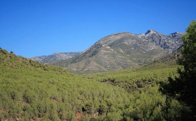 The man collapsed while walking in the Sierra Almijara mountains in Granada province on Tuesday 