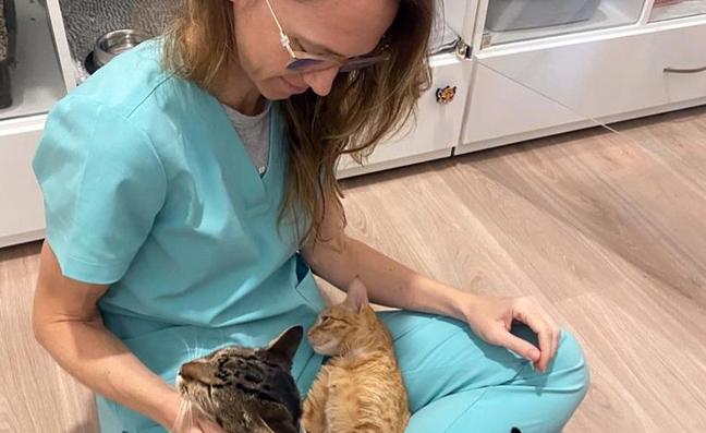 Clínica Felina Malagat, the specialist centre that ensures your cat's health