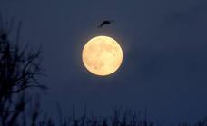What is the best time to see tonight’s ‘Wolf Moon’