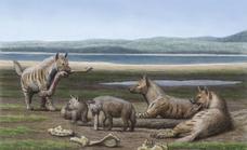 Malaga University researchers discover the bones of prehistoric giant hyenas in Granada