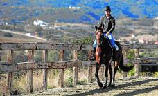 Carlos Lange, the present and future of Spanish riding