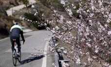 Climate change makes almond trees in the south of Spain bloom earlier