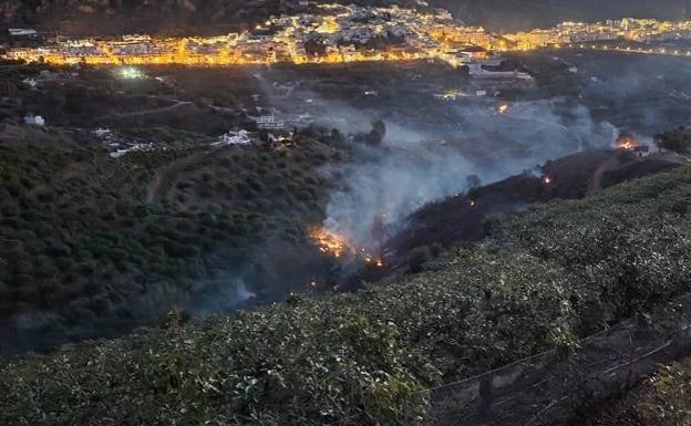 Alarm in the Axarquía as four fires break out in 12 hours