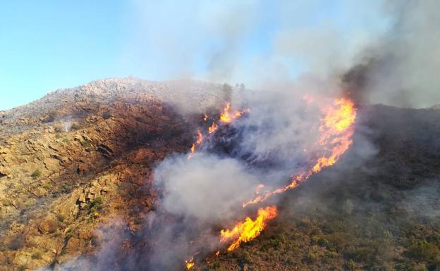 More than 40 specialists and two helicopters stabilise wildfire near Ojén and continue working to control it