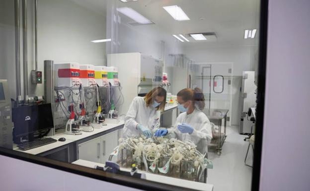 Spain’s Hipra coronavirus vaccine enters the last phase of clinical trials