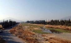 Marbella’s riverbeds are home to dragonflies and otters
