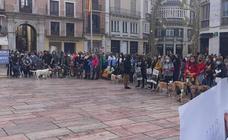 Animal activists in Malaga protest against hunting