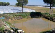 Brussels threatens to fine Spain over Andalusian irrigation law in Doñana