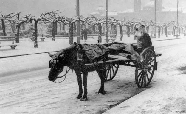 11 February 1956: Spain's big freeze sets in with record low temperatures