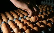 Deadly salmonella outbreak in Europe is linked to eggs from Spain