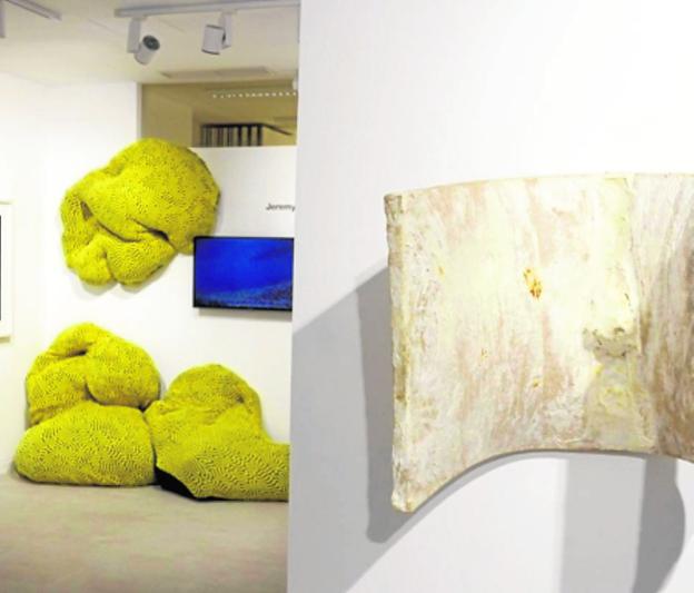 Art against climate change: from the music of bacteria to fungus art